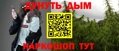 гидра Кингисепп