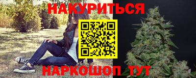 гидра Кингисепп