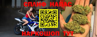 гидра Кингисепп